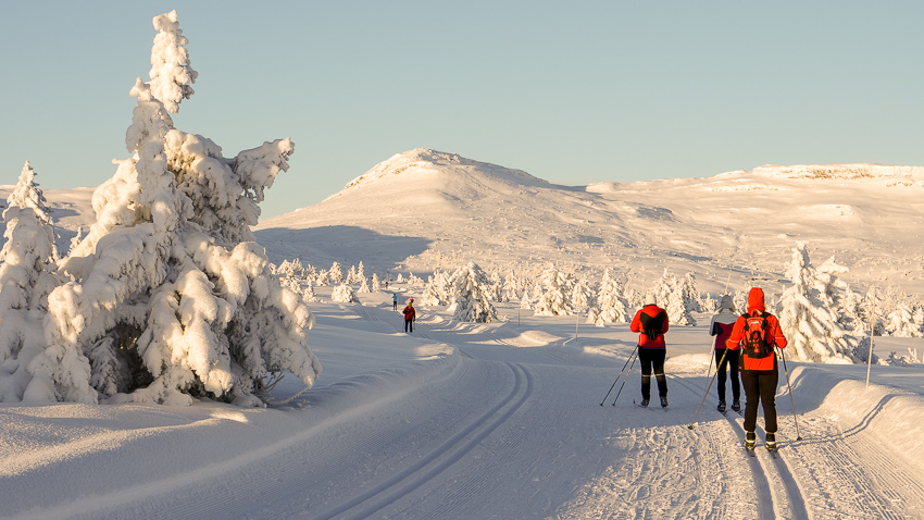 Torsdalen. Foto.