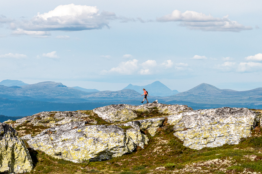 Gråkampen i Gausdal Nordfjell. Foto.