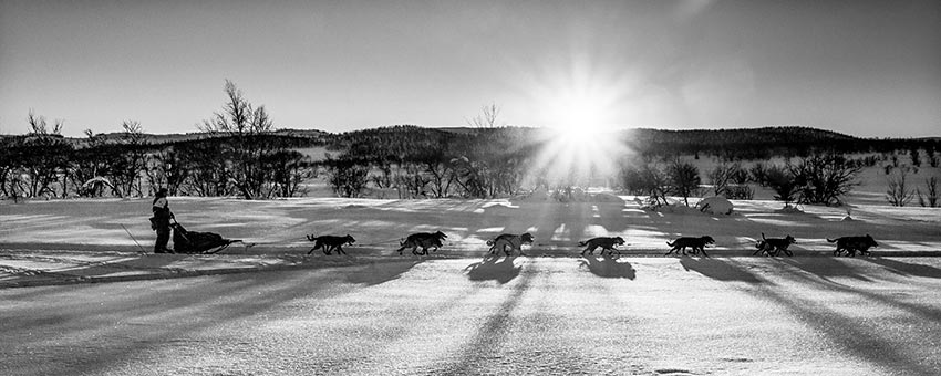 Gausdal Maraton. Foto.