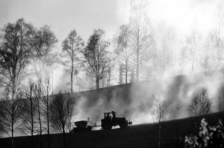 Våronn. Foto.