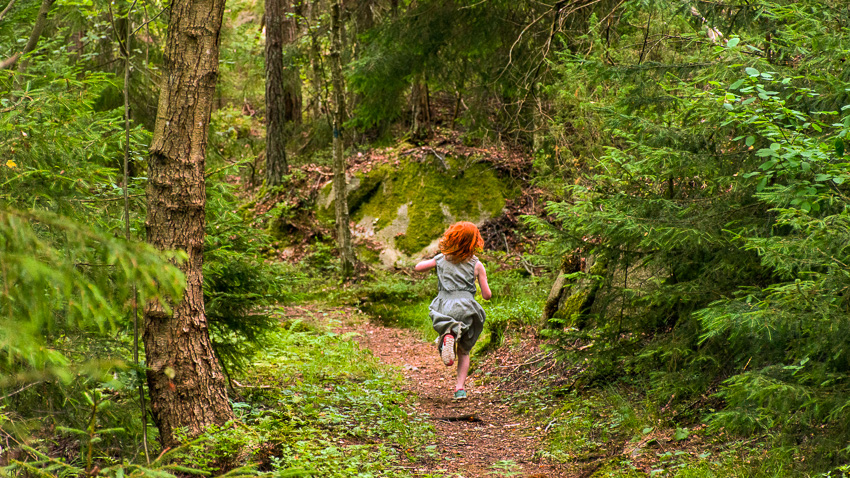 I skogen. Foto.