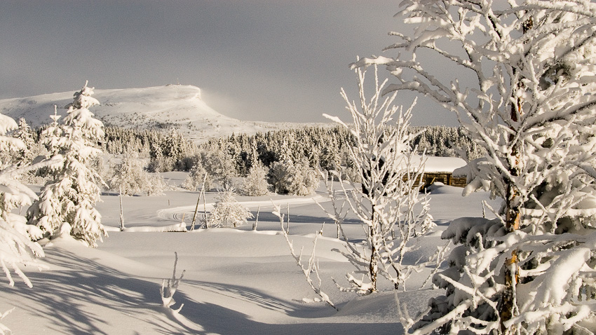 Skeikampen. Foto.