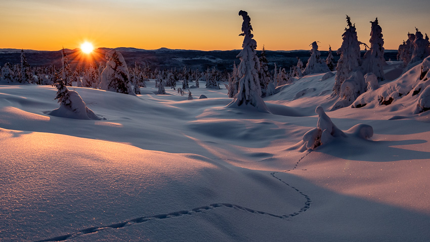 Kveld i fjellet