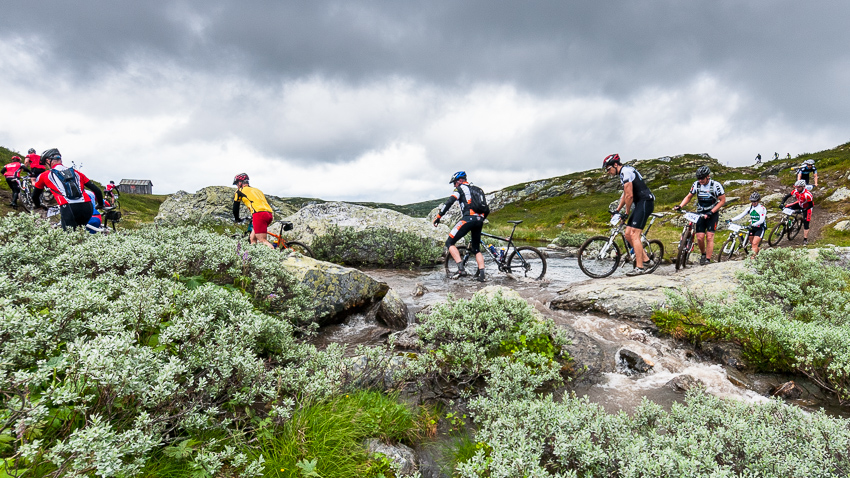 Bukkerittet i Gausdal Nordfjell. Foto.