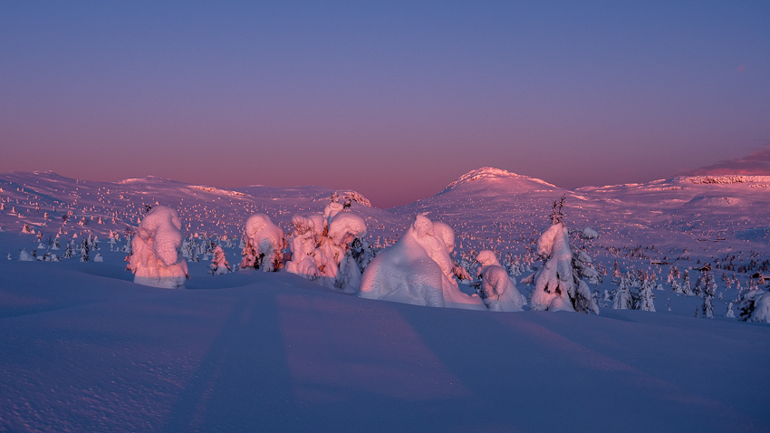 Torsdalen. Foto.